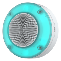 Turqoise d4200e network strobe siren.
